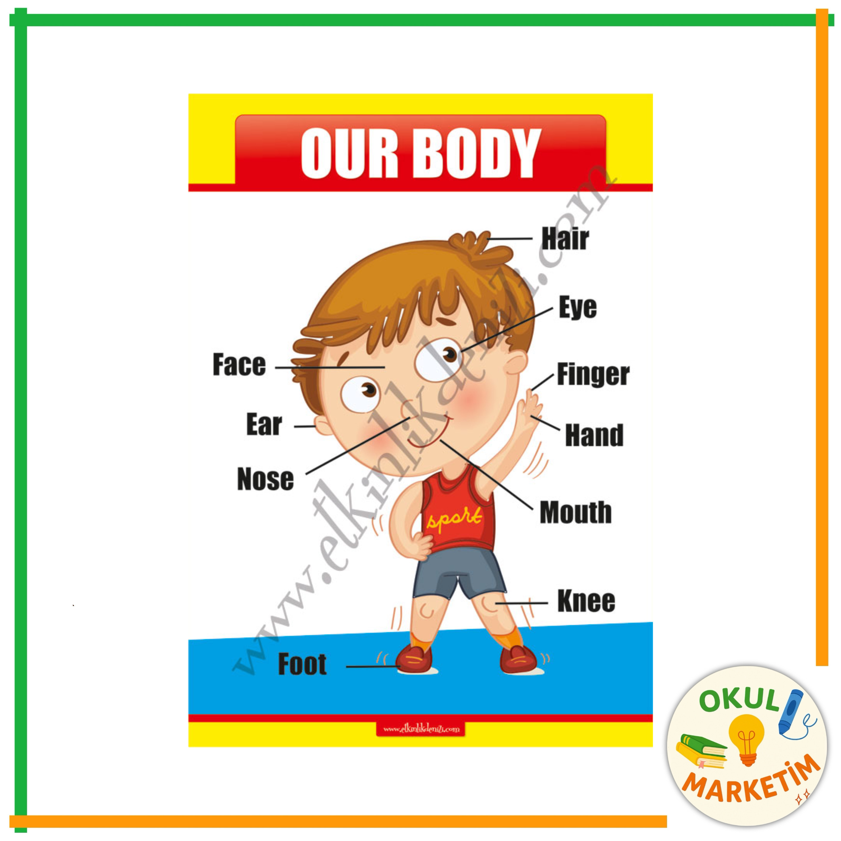 Our Body Afişi