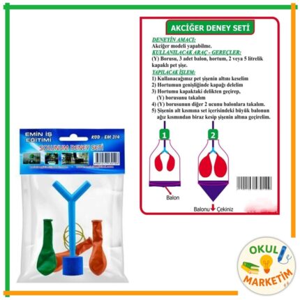 Akciğer Solunum Modeli