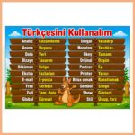 Türkçesini Kullanalım Afişi