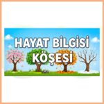 Hayat Bilgisi Köşesi Pano Başlığı
