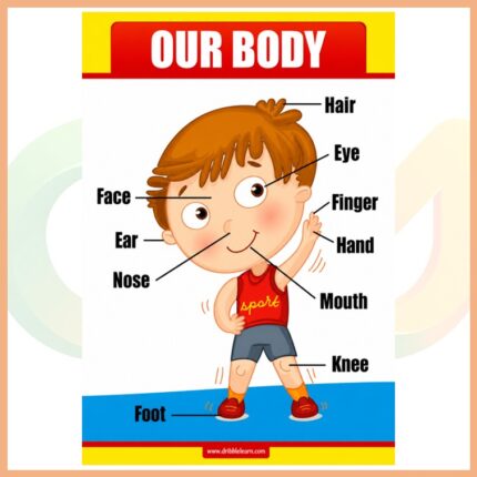 Our Body Afişi