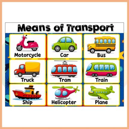Means Of Transport Afişi