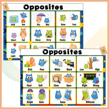 Opposites 2’li Afiş Seti
