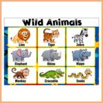 Wild Animals Afişi
