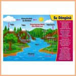 Su Döngüsü Afişi
