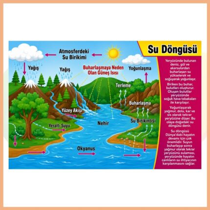 Su Döngüsü Afişi
