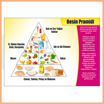 Besin Piramidi Afişi